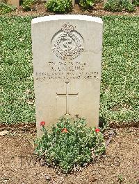 Medjez-El-Bab War Cemetery - Capeling, Robert