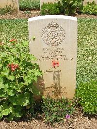 Medjez-El-Bab War Cemetery - Carter, William