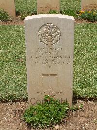 Medjez-El-Bab War Cemetery - Clarey, Arthur