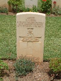 Medjez-El-Bab War Cemetery - Clegg, Harry