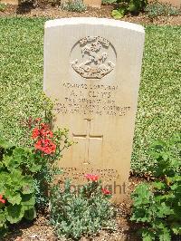 Medjez-El-Bab War Cemetery - Clews, Albert Edward