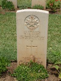 Medjez-El-Bab War Cemetery - Clout, William Joel Carter