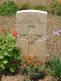 Medjez-El-Bab War Cemetery - Colville, Thomas Frederic