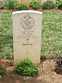 Medjez-El-Bab War Cemetery - Dale, Thomas Daniel