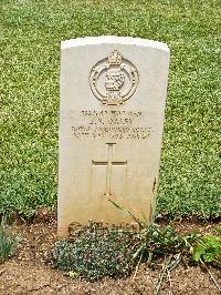 Medjez-El-Bab War Cemetery - Daley, John Newton