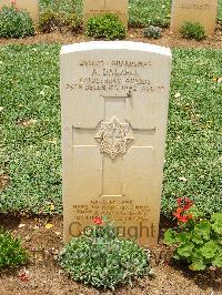 Medjez-El-Bab War Cemetery - Dalzell, Alexander