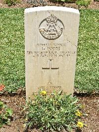 Medjez-El-Bab War Cemetery - Dodds, Garnett