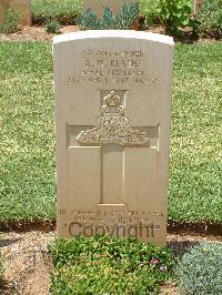 Medjez-El-Bab War Cemetery - Elkins, Arthur William