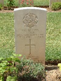 Medjez-El-Bab War Cemetery - Ellis, Robert