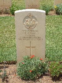 Medjez-El-Bab War Cemetery - Ellis, William Charles