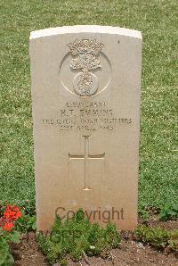 Medjez-El-Bab War Cemetery - Emmins, Henry Thomas
