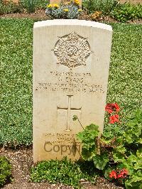 Medjez-El-Bab War Cemetery - Evans, Griffith