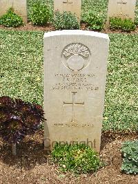 Medjez-El-Bab War Cemetery - Farr, John Reginald