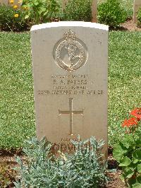 Medjez-El-Bab War Cemetery - Fayers, Frank Albert