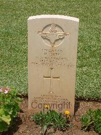 Medjez-El-Bab War Cemetery - Firth, Harry