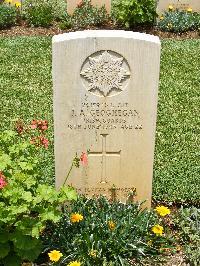 Medjez-El-Bab War Cemetery - Geoghegan, John Anthony