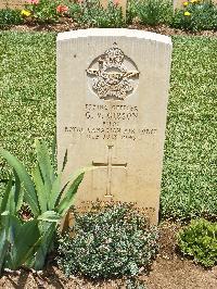 Medjez-El-Bab War Cemetery - Gibson, Gowan Vernon