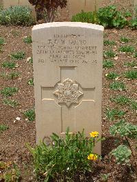 Medjez-El-Bab War Cemetery - Gotto, Thomas Francis Murly