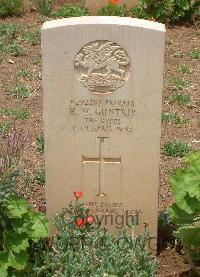 Medjez-El-Bab War Cemetery - Guntrip, Henry William