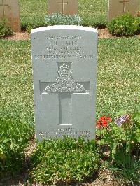 Medjez-El-Bab War Cemetery - Haley, Frederick Leslie
