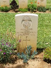 Medjez-El-Bab War Cemetery - Hall, John