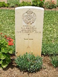Medjez-El-Bab War Cemetery - Halliday, Robert Leonard