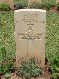 Medjez-El-Bab War Cemetery - Harris, William