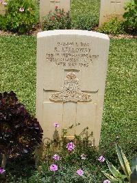 Medjez-El-Bab War Cemetery - Kelloway, Ralph