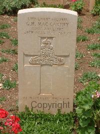 Medjez-El-Bab War Cemetery - MacCarthy, Gerald Heggart