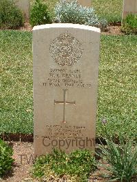 Medjez-El-Bab War Cemetery - Reaney, William Kenneth