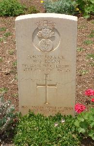 Medjez-El-Bab War Cemetery - Rogan, Michael John
