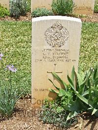 Medjez-El-Bab War Cemetery - Vincent, George Thomas