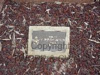 Mitcham Cemetery - Broadfoot, Colin McDonald