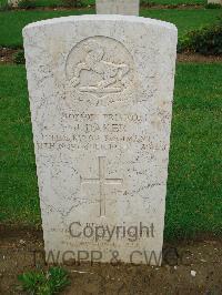 Coriano Ridge War Cemetery - Daker, John