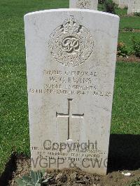 Coriano Ridge War Cemetery - Evans, William George