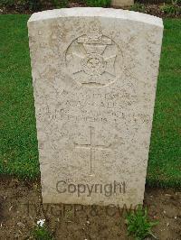 Coriano Ridge War Cemetery - Scales, Albert Alan