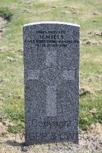 Sheffield (Tinsley Park) Cemetery - Mills, H
