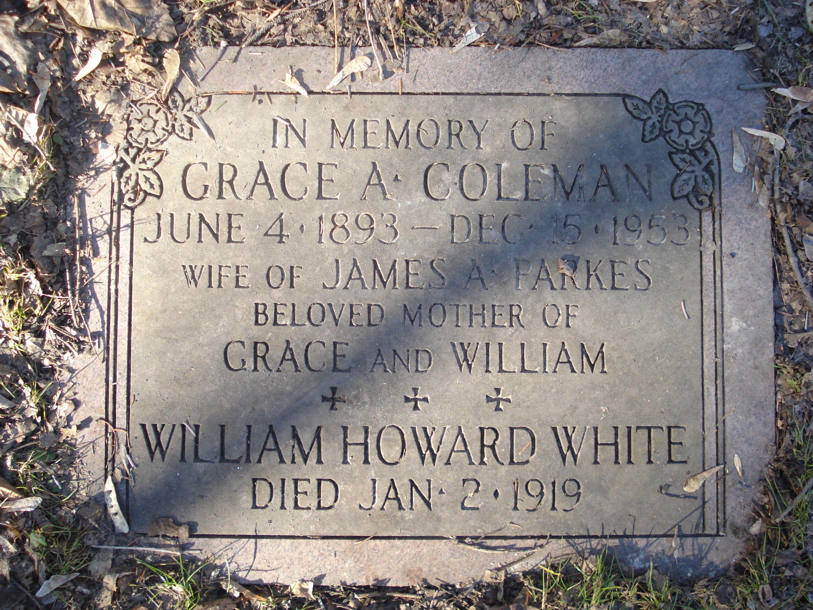 Toronto Necropolis - White, William Howard