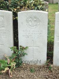 Bethune Town Cemetery - Maggs, G E
