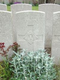 Bethune Town Cemetery - McAlear, Francis
