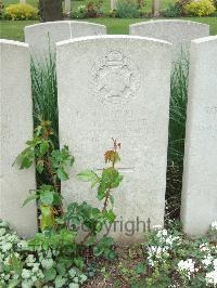 Bethune Town Cemetery - Tavener, A E