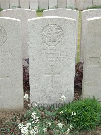 Bethune Town Cemetery - Wibberley, Fred