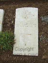 Mill Road Cemetery - Donaghy, W