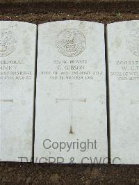 Mill Road Cemetery - Gibson, G