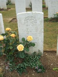 Mill Road Cemetery - Goodwin, D