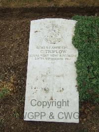 Mill Road Cemetery - Triplow, C