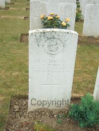 Mill Road Cemetery - Ward, Frank