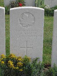 Fosse No.10 Communal Cemetery Extension Sains-En-Gohelle - Napper, J A