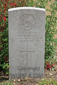 St. Sever Cemetery Rouen - Morris, Arthur
