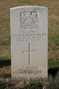 St. Sever Cemetery Rouen - Walker, Harold Hadfield